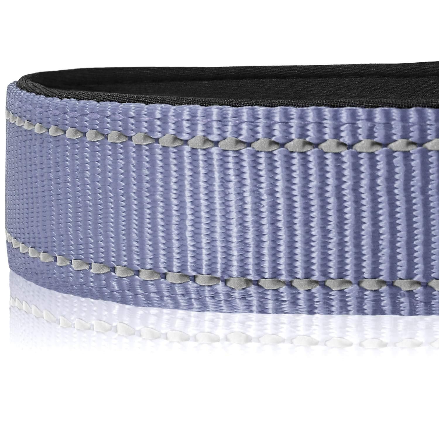 Reflective 1inch Dog Collar