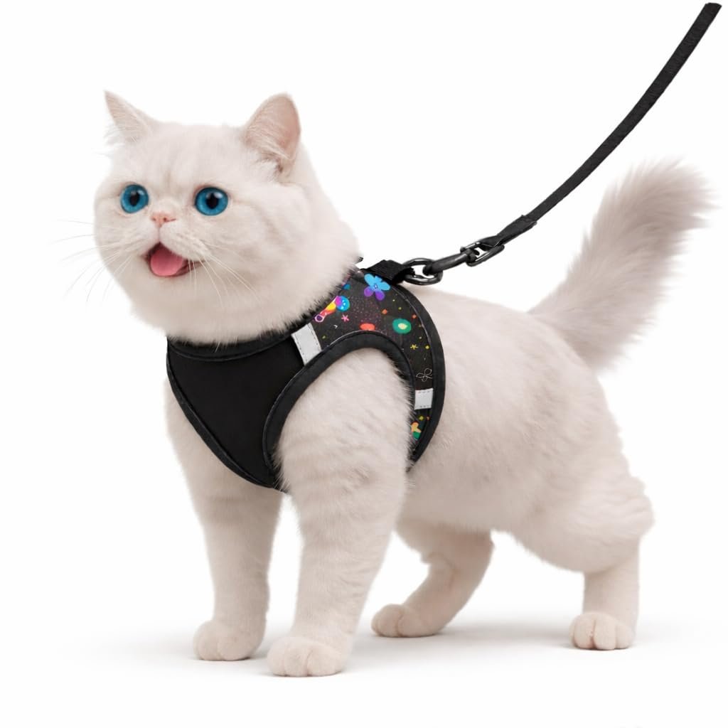 Cat Harness