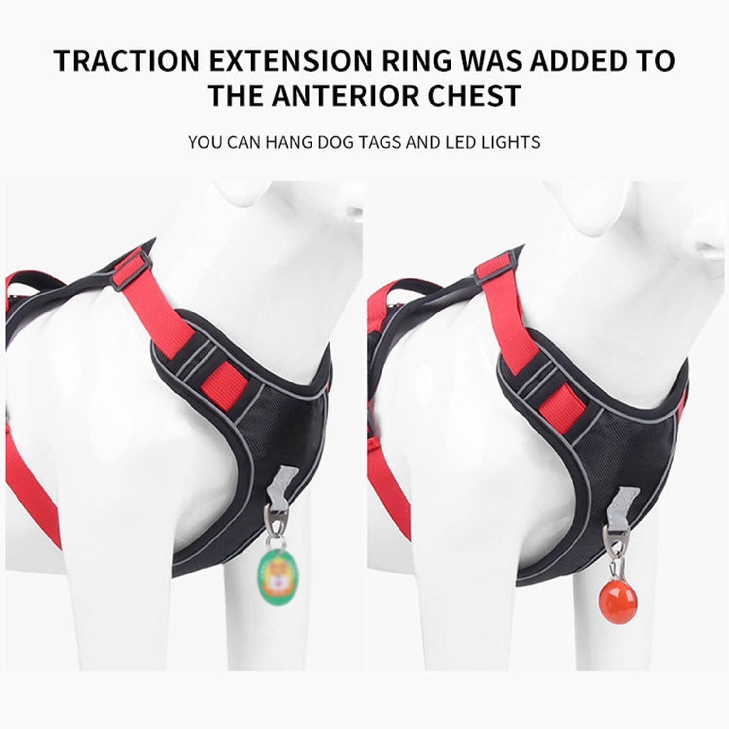 Nylon Dog Harness with Lease