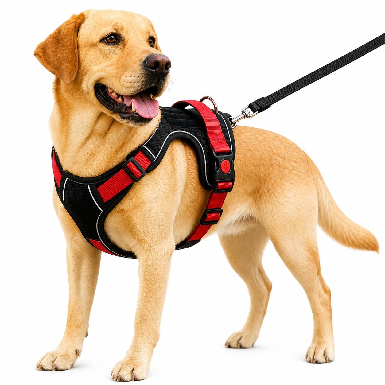 Dog Harness