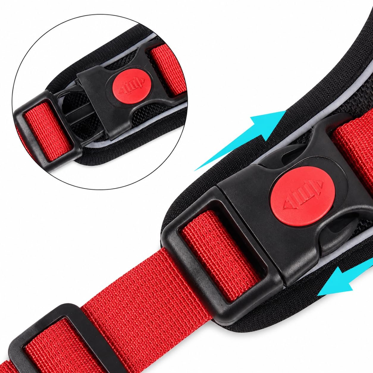 Dog Harness
