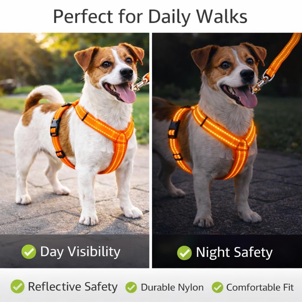 Dog Harness and Leash Set