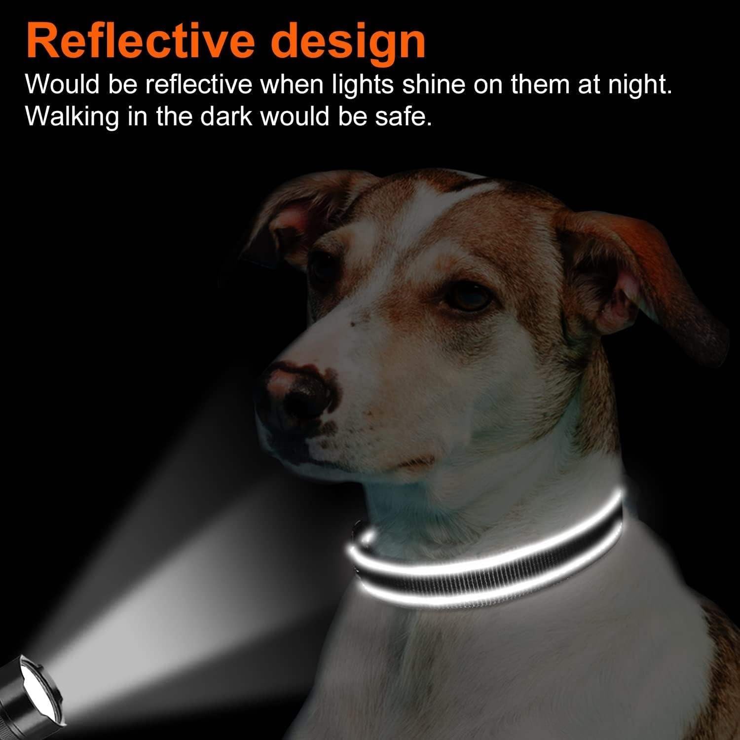 Reflective 1inch Dog Collar