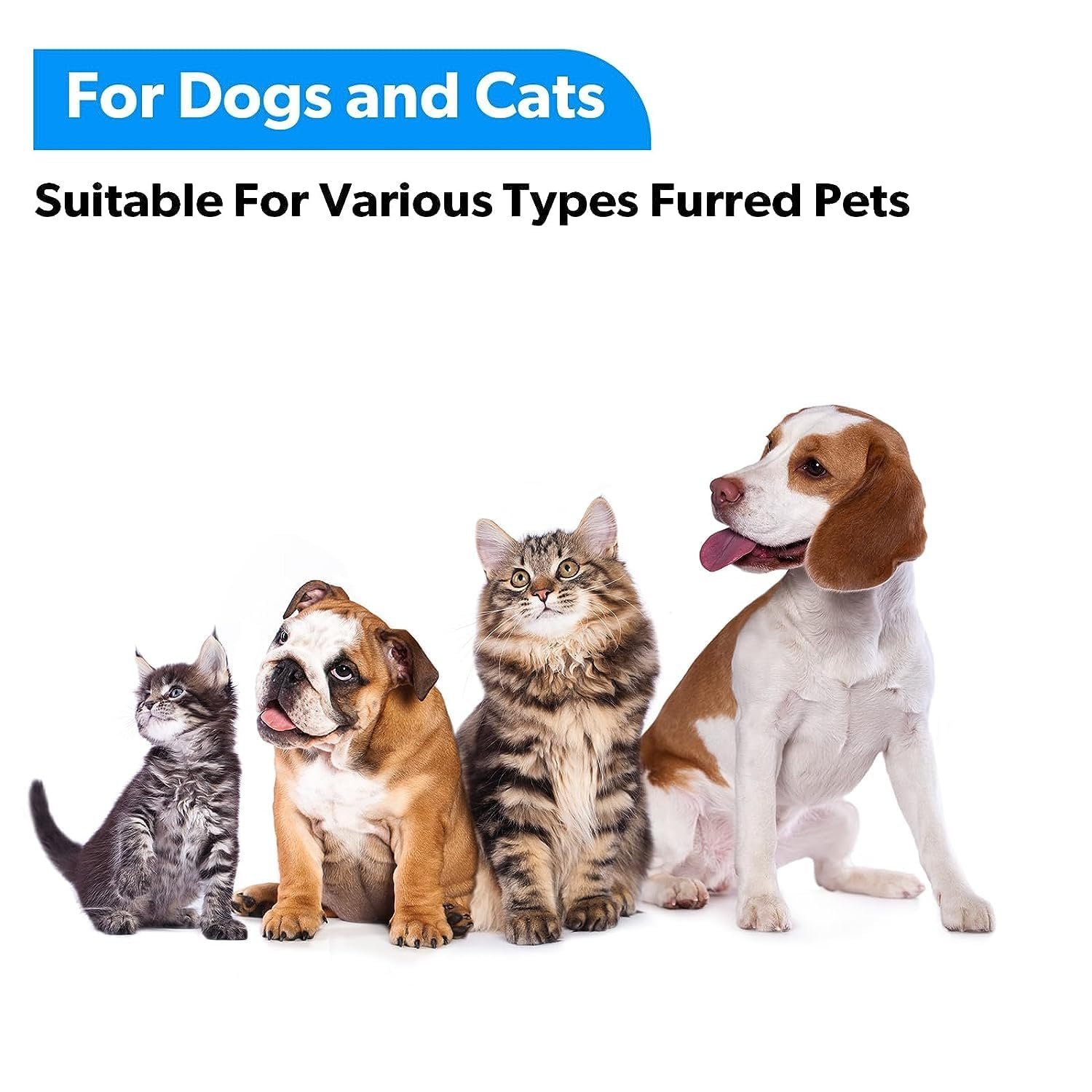 Dog Hair Bath Brush combo