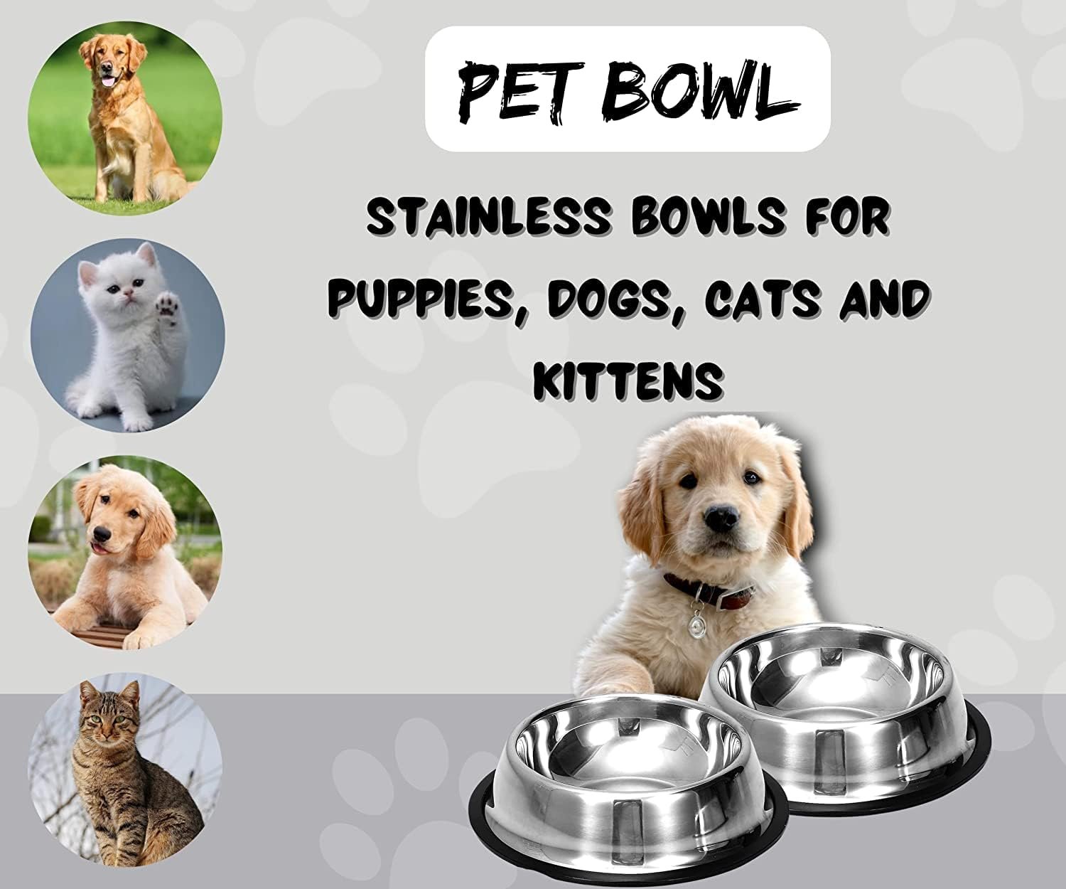 Stainless Steel Pet Feeding Bowl