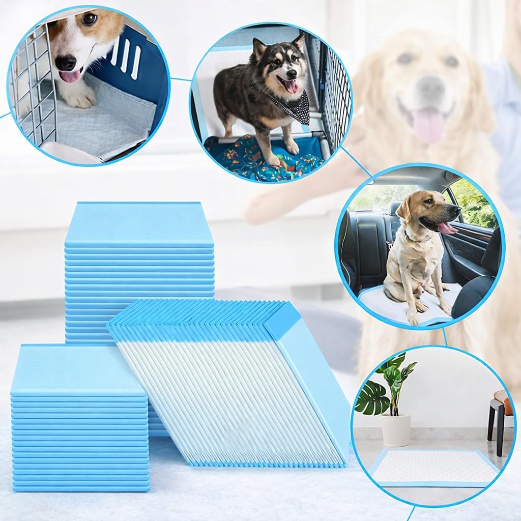 Dog Training Pads