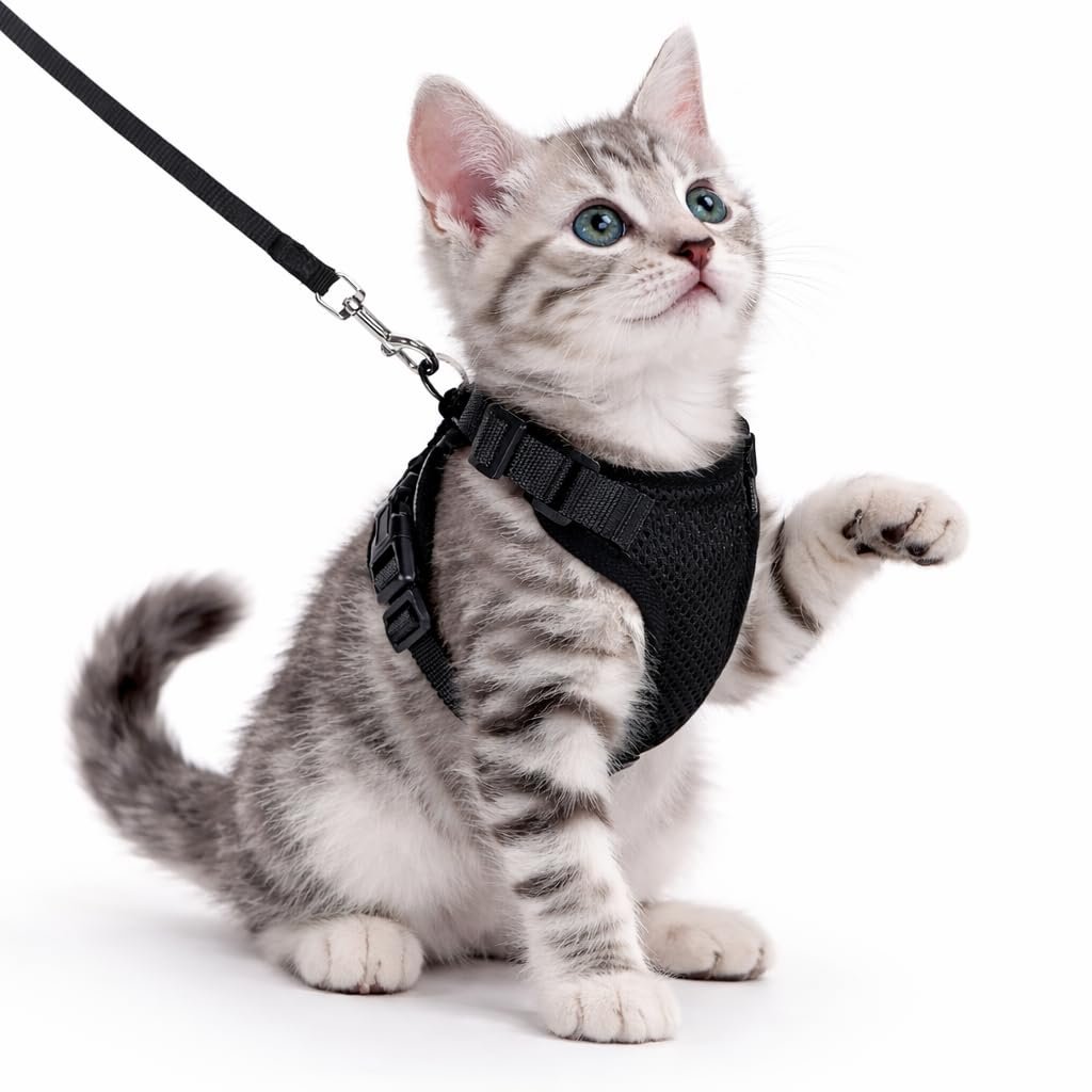 Cat Harness and Leash Set