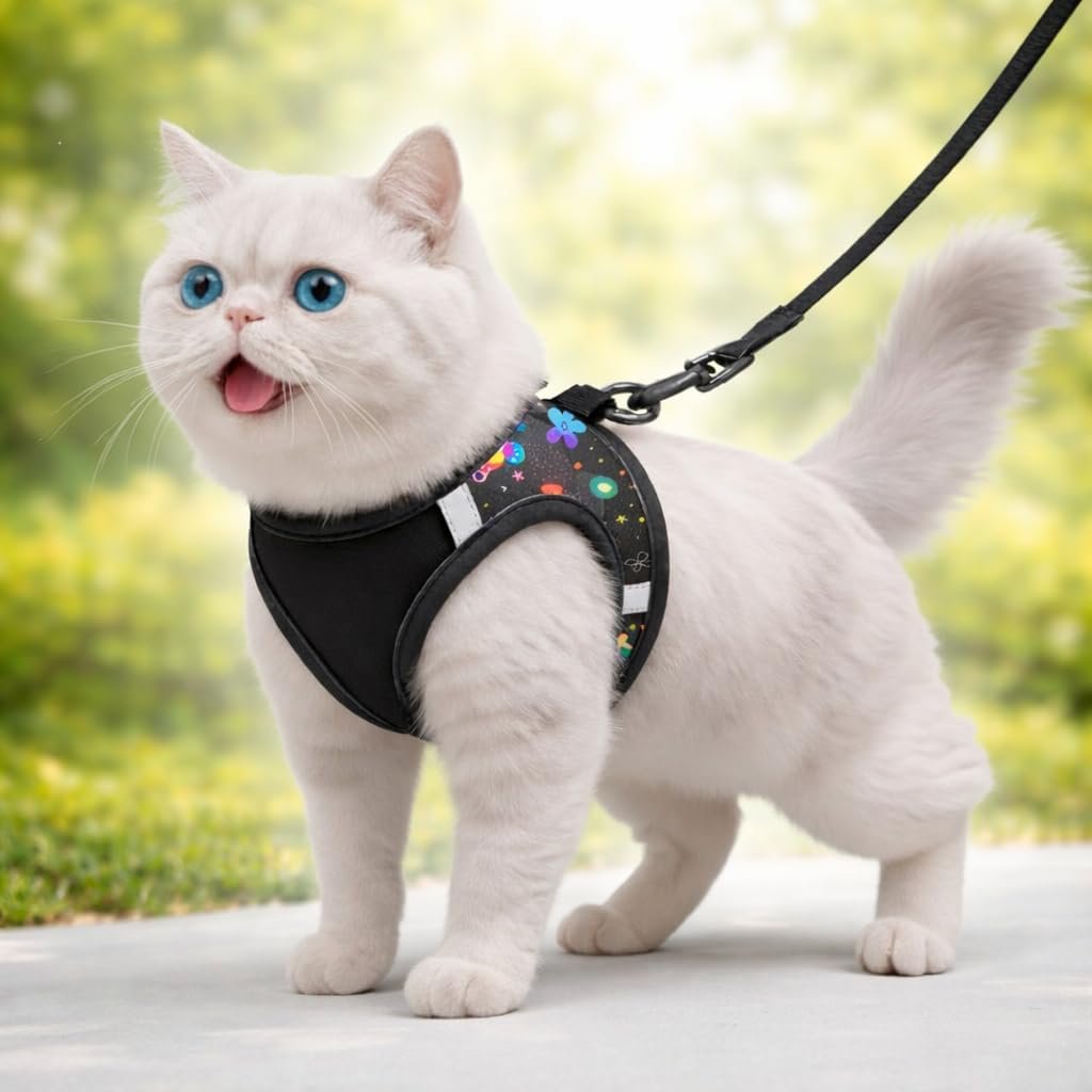 Cat Harness
