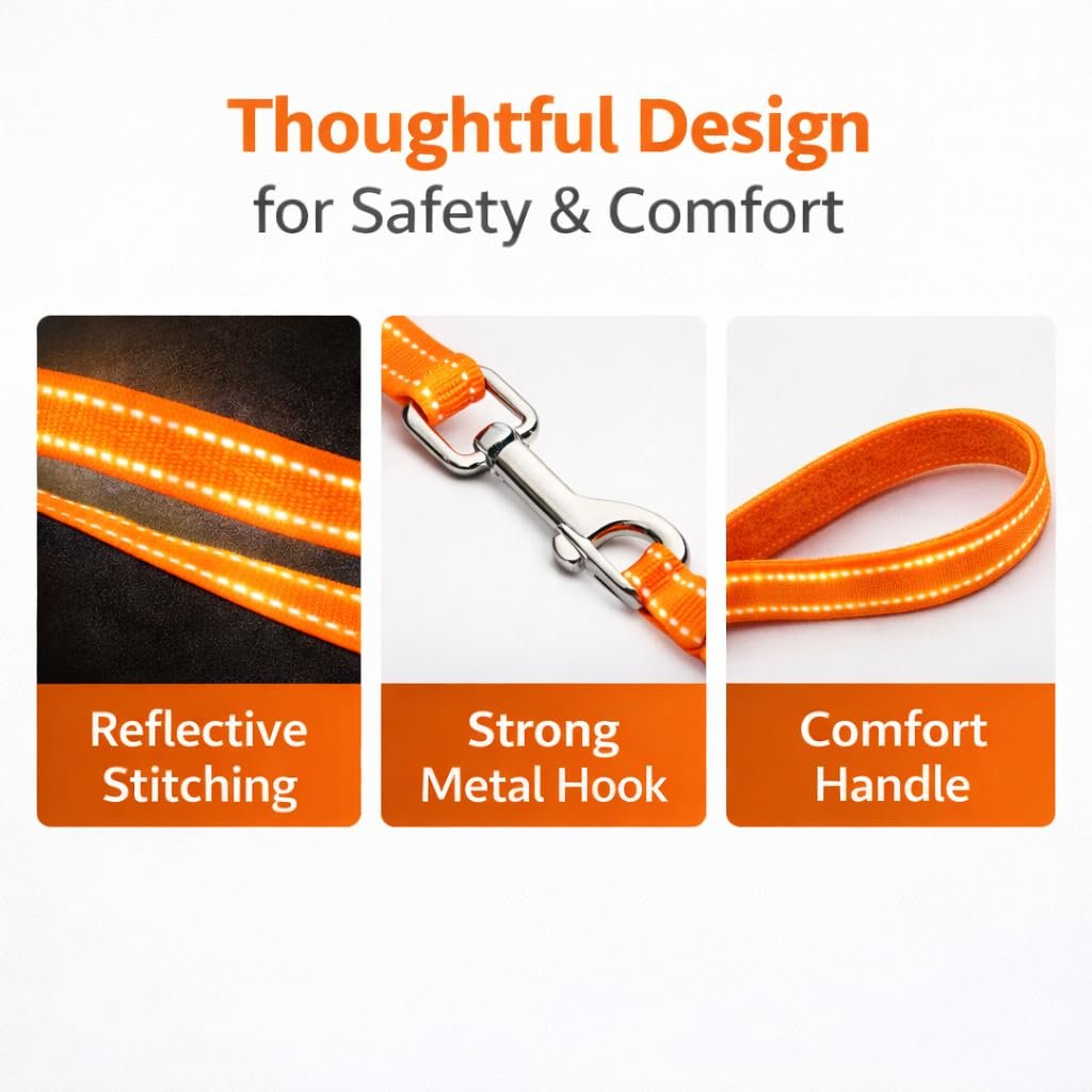 Dog Harness and Leash Set