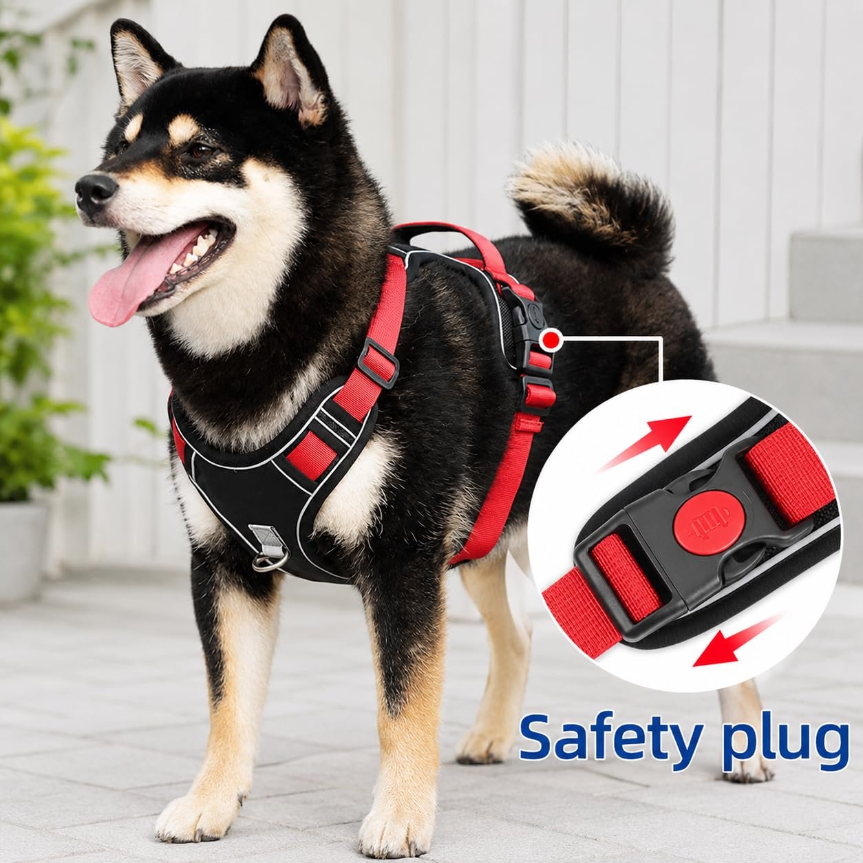Dog Harness
