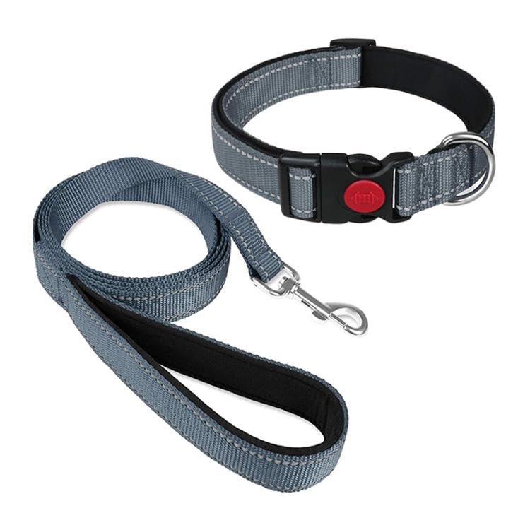 Reflective 1inch Dog Collar