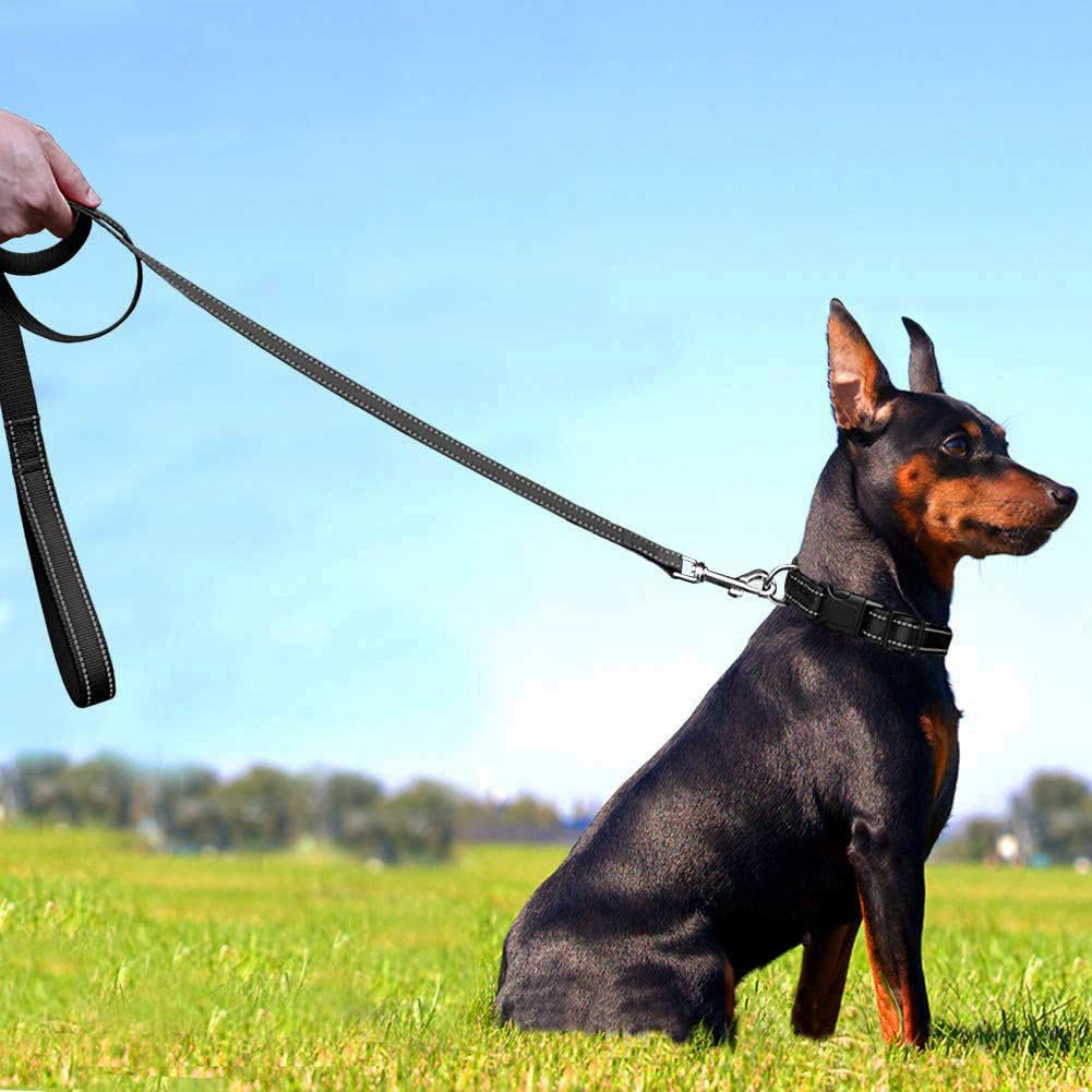 Reflective 1inch Dog Collar