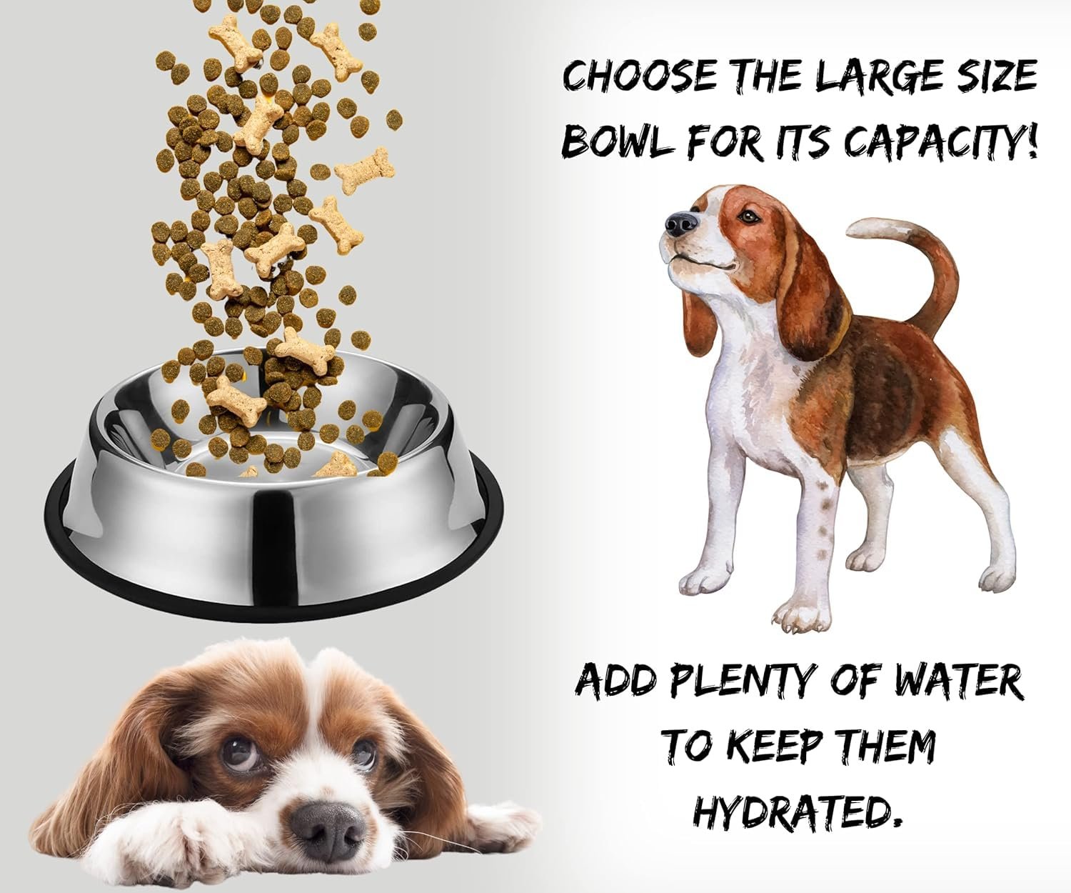 Stainless Steel Pet Feeding Bowl