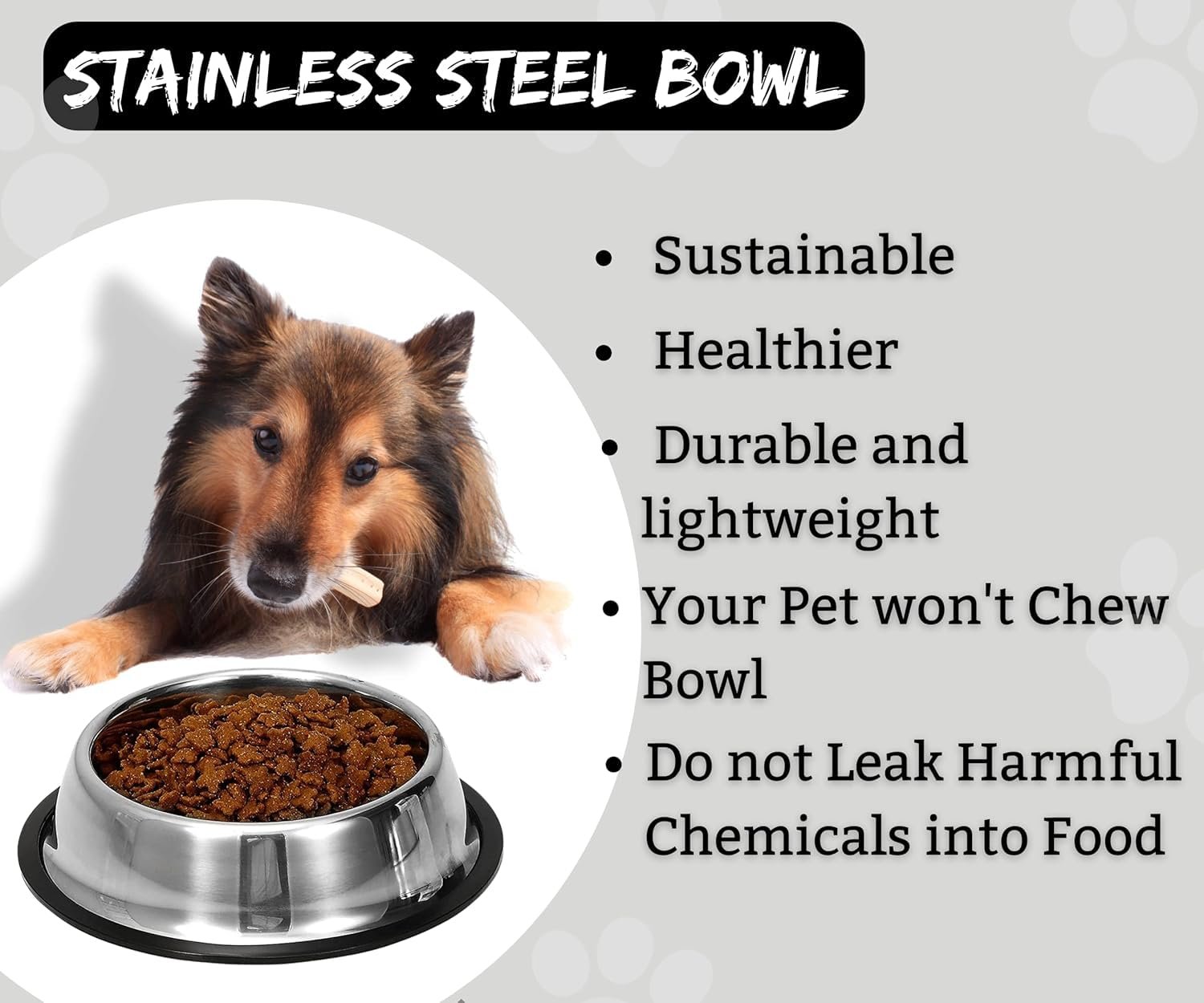 Stainless Steel Pet Feeding Bowl