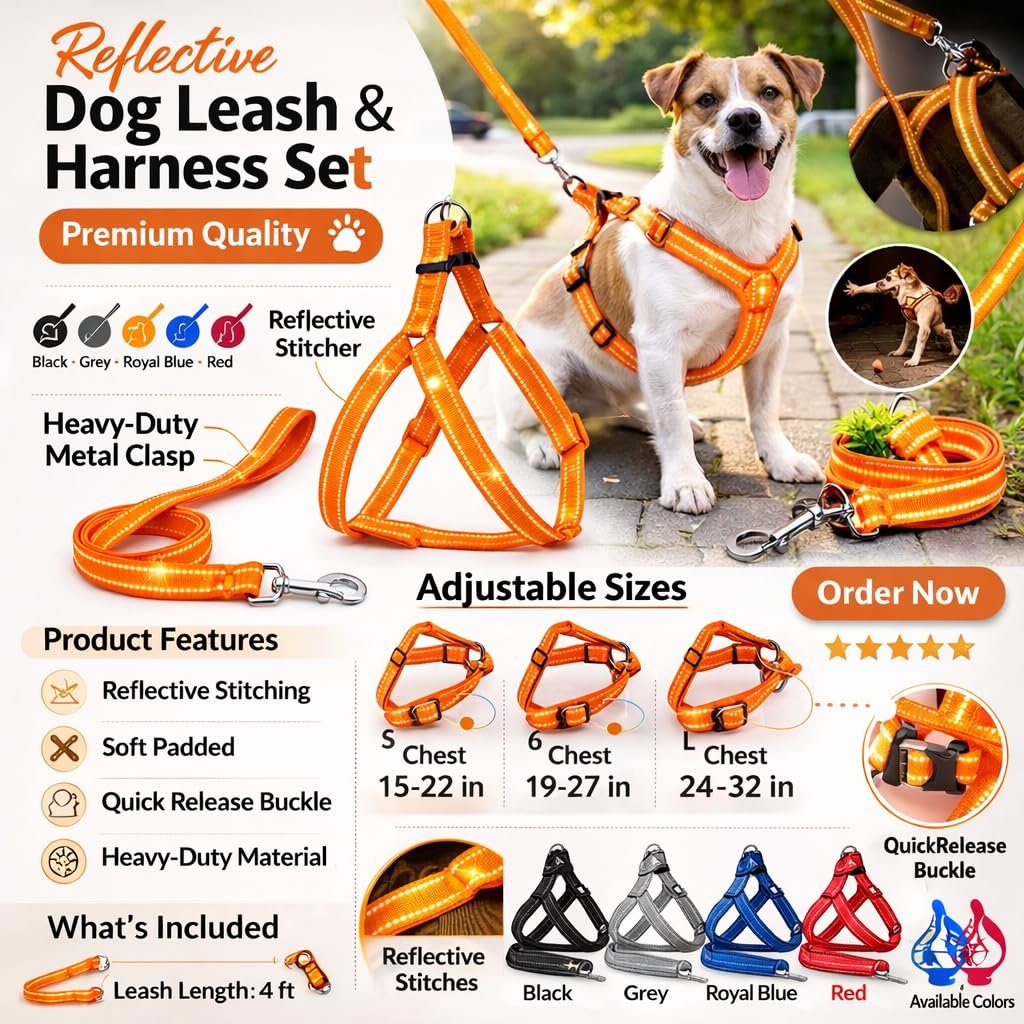 Dog Harness and Leash Set