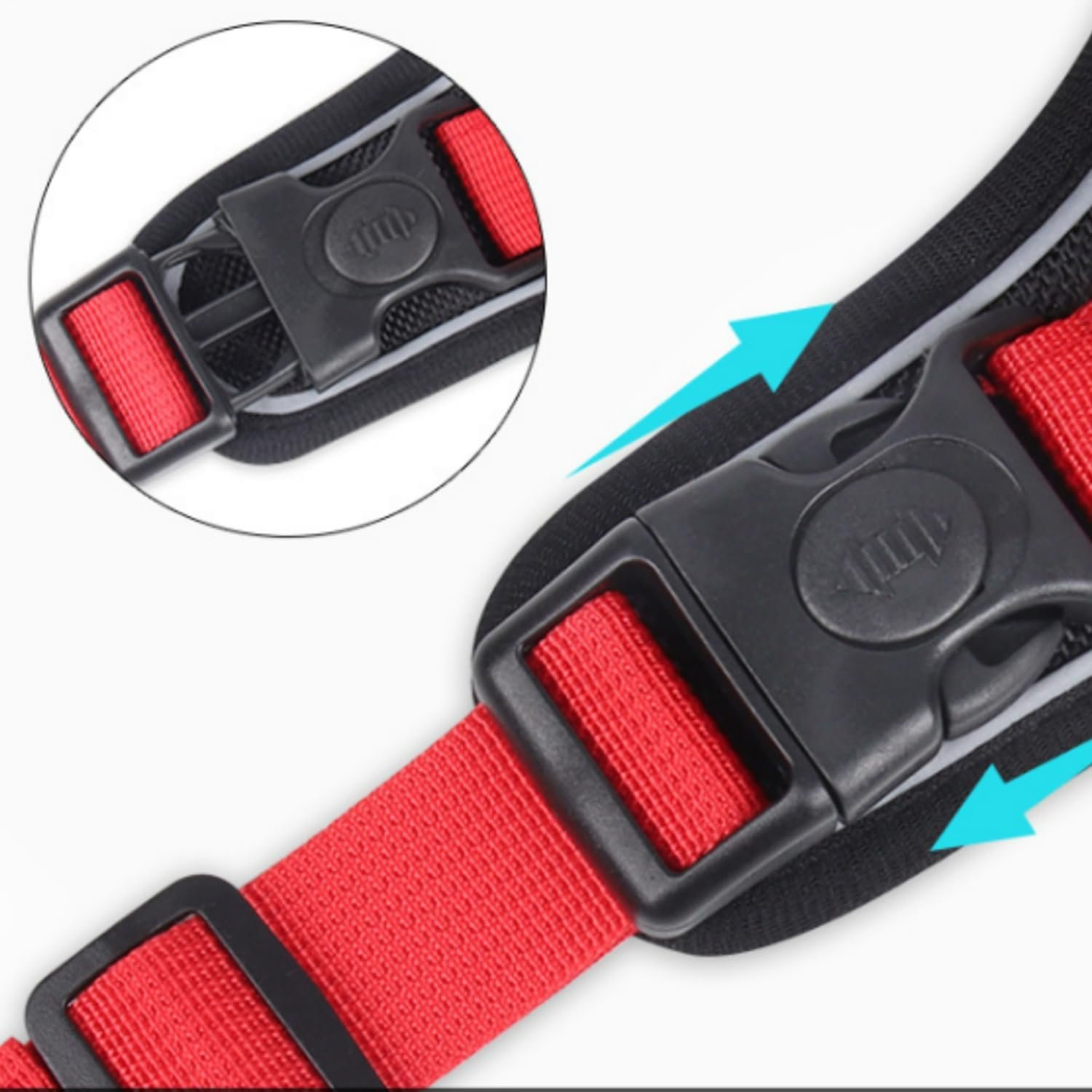 Nylon Dog Harness with Lease